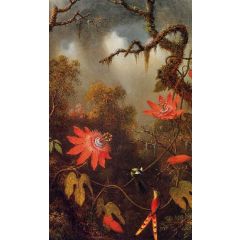 Two Hummingbirds Perched on Passion Flower Vines Painting Reproduction