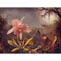 Cattleya Orchid and Three Brazilian Hummingbirds Painting Reproduction