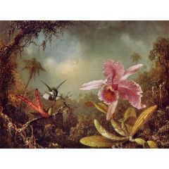 Orchid with Two Hummingbirds Painting Reproduction