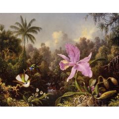 Orchid and Two Hummingburds Painting Reproduction