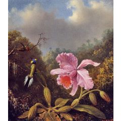 Fighting Hummingbirds with Pink Orchid Painting Reproduction