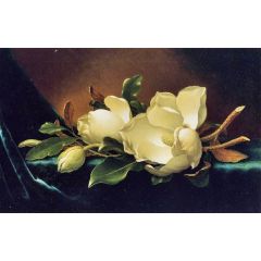 Two Magnolias and a Bud on Teal Velvet Painting Reproduction