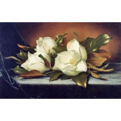 Giant Magnolias Painting Reproduction