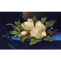 Giant Magnolias on a Blue Velvet Cloth Painting Reproduction