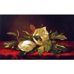 Magnoliae Grandeflorae Painting Reproduction