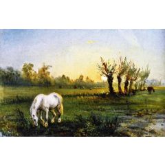White Horse in a Meadow Painting Reproduction