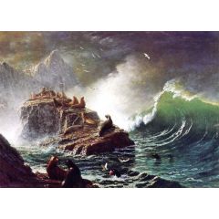Seals on the Rocks, Farallon Islands Painting Reproduction