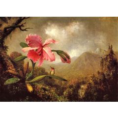 Orchid and Hummingbird near a Mountain Waterfall Painting Reproduction