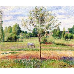 Meadow with Grey Horse, Eragny Painting Reproduction