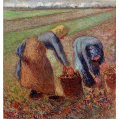 Potato Harvest Painting Reproduction