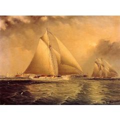 Yachting in New York Harbor Painting Reproduction