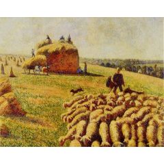 Flock of Sheep in a Field after the Harvest Painting Reproduction