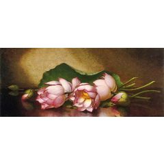 Egyptian Lotus Blossom Painting Reproduction