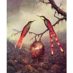 Two Hummingbirds Garding an Egg Painting Reproduction