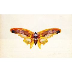 Butterfly Painting Reproduction