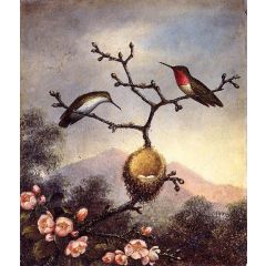 Ruby Throats with Apple Blossoms Painting Reproduction