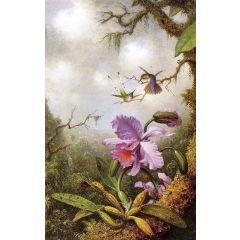 Two Hummingbirds and a Pink Orchid Painting Reproduction