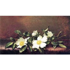 Cherokee Roses on a Purple Cloth Painting Reproduction