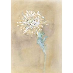 Chrysanthemum Painting Reproduction