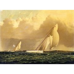 Yacht Race in New York Harbor Painting Reproduction