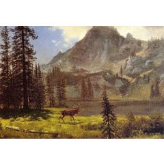 Call of the Wild Painting Reproduction