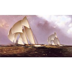 America’s Cup Class Yachts Racing in New York Harbor Painting Reproduction