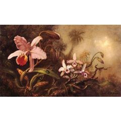 Orchids and a Beetle Painting Reproduction