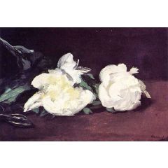 Branch of White Peonies, with Pruning Shears Painting Reproduction