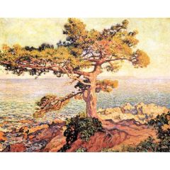 Pine by the Mediterranean Sea Painting Reproduction
