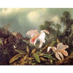 Jungle Orchids and Hummingbirds Painting Reproduction
