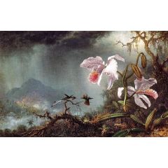 Two Fighting Hummingbirds with Two Orchids Painting Reproduction