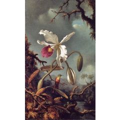 White Brazilian Orchid Painting Reproduction