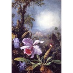 Orchids, Passion Flowers and Hummingbird Painting Reproduction