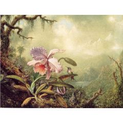 Heliodore’s Woodstar and a Pink Orchid Painting Reproduction