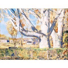 The Giant Ailanthus, October Painting Reproduction