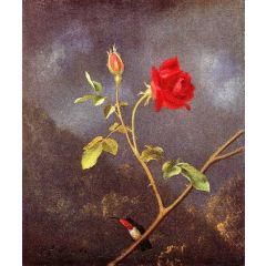 Red Rose with Ruby Throat Painting Reproduction