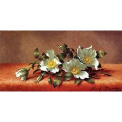 The Cherokee Rose Painting Reproduction