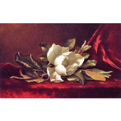 The Magnolia Blossom Painting Reproduction