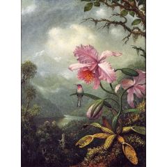 Hummingbird Perched on an Orchid Plant Painting Reproduction