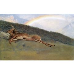 Rainbow over a Fallen Stag Painting Reproduction