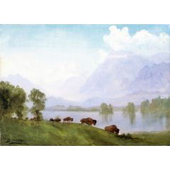 Buffalo Country Painting Reproduction