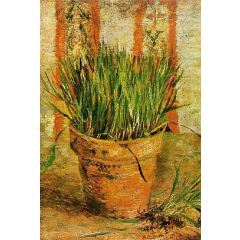 Flowerpot with Chives Painting Reproduction