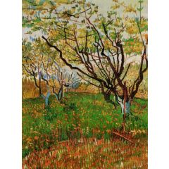 Orchard in Bloom Painting Reproduction