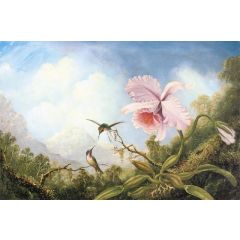 Two Hummingbirds and an Orchid Painting Reproduction