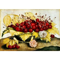 Still-life with Cherries Painting Reproduction