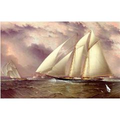 Schooner Racing off New York Harbor Painting Reproduction