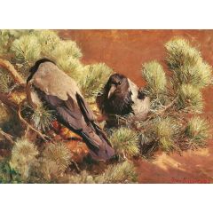 Hooded Crows Painting Reproduction