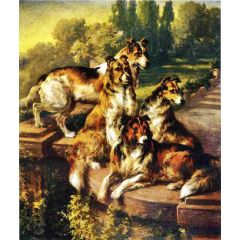 Collie Dogs in Formal Garden Painting Reproduction