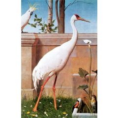 Indian Crane, Bullfinch and Thrush Painting Reproduction