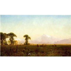 Deer Grazing, Grand Tetons, Wyoming Painting Reproduction